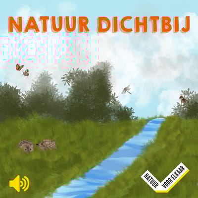 Natuur Dichtbij: bezinnen op het Hilligenpad, even tijd voor jezelf én het landschap!